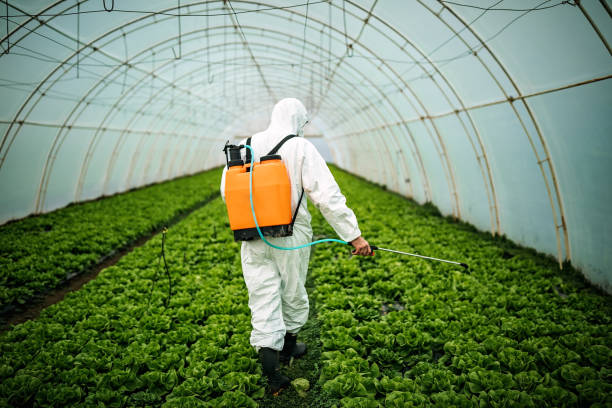 Best Affordable Pest Control Services  in Northfield, KY