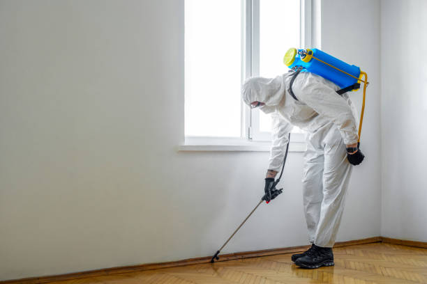 Best Wildlife Control Services  in Northfield, KY