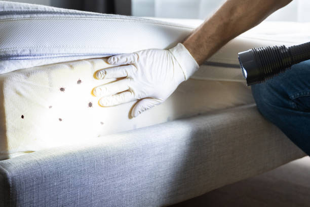 Reliable Northfield, KY Pest Control Solutions